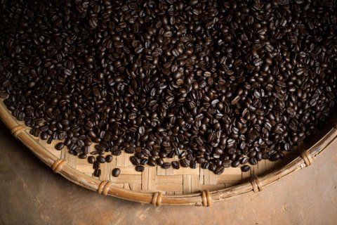 Northern Thailand Coffee Suan Lahu